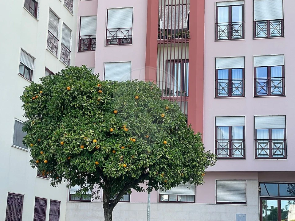 Apartamento T3 para Venda em Odivelas Foto 30