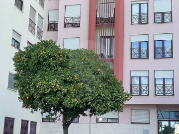 Apartamento T3 para Venda em Odivelas