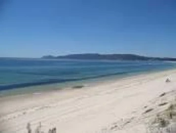 Apartamento T2 para Venda em Carvalhal