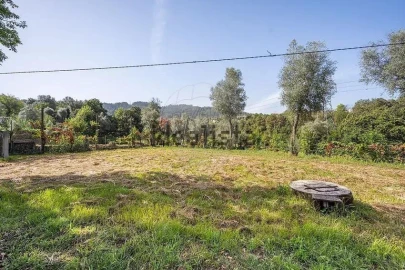 Moradia T4 para Venda em Ribeira