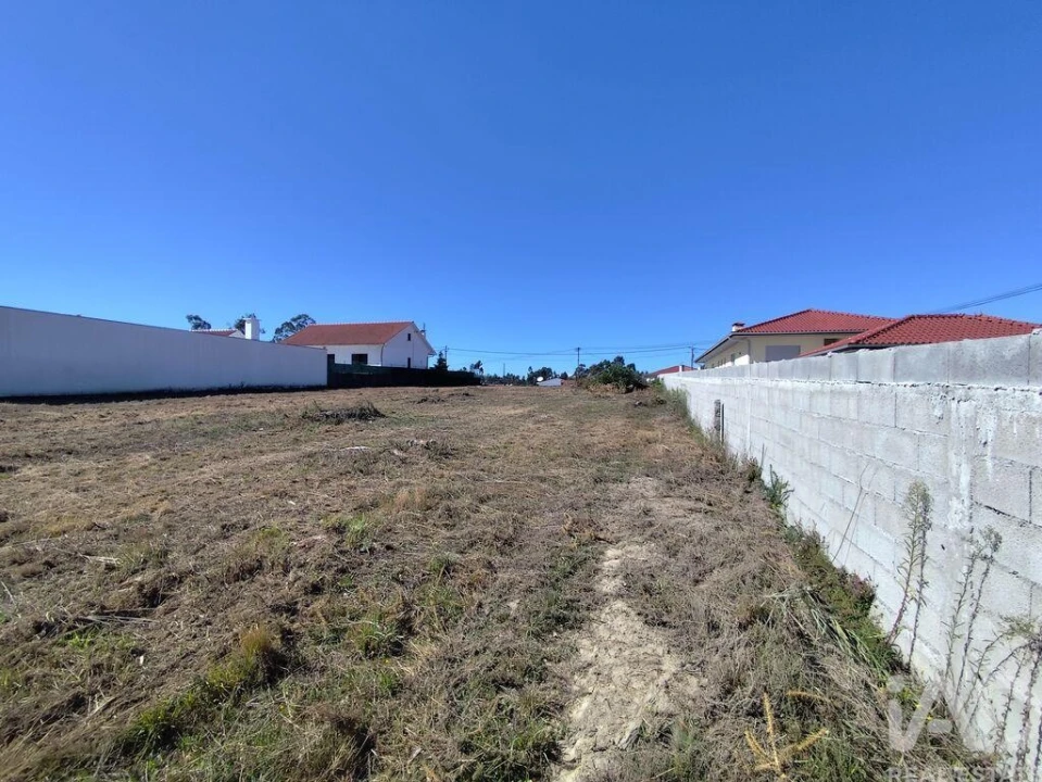 Terreno para Venda em Alvarães Foto 16