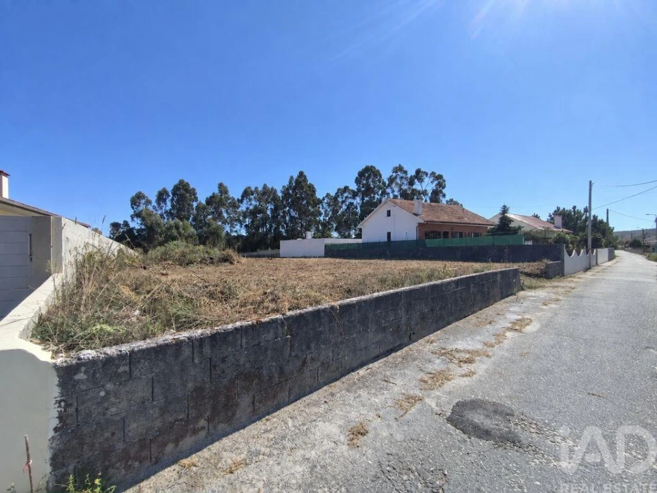 Terreno para Venda em Alvarães Foto 1