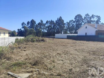 Terreno para Venda em Alvarães