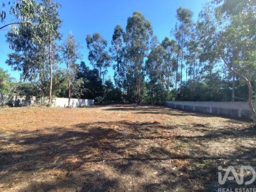Terreno para Venda em Alvarães