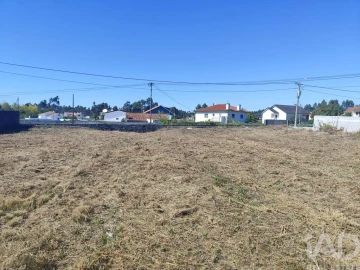 Terreno para Venda em Alvarães