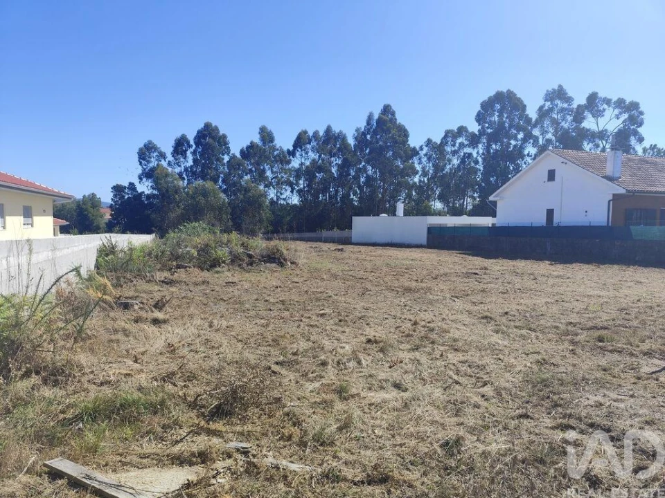 Terreno para Venda em Alvarães Foto 7