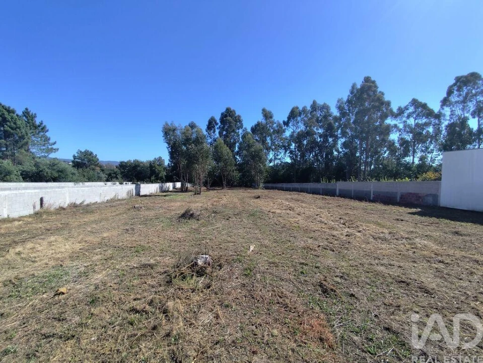 Terreno para Venda em Alvarães Foto 11