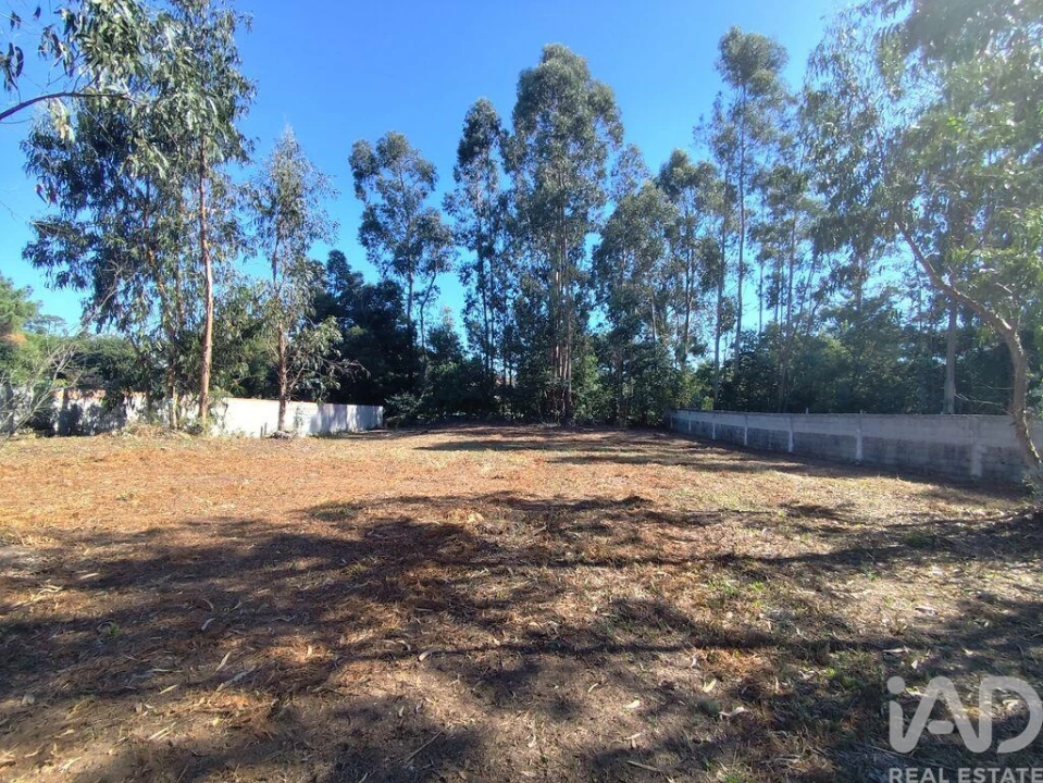 Terreno para Venda em Alvarães Foto 12