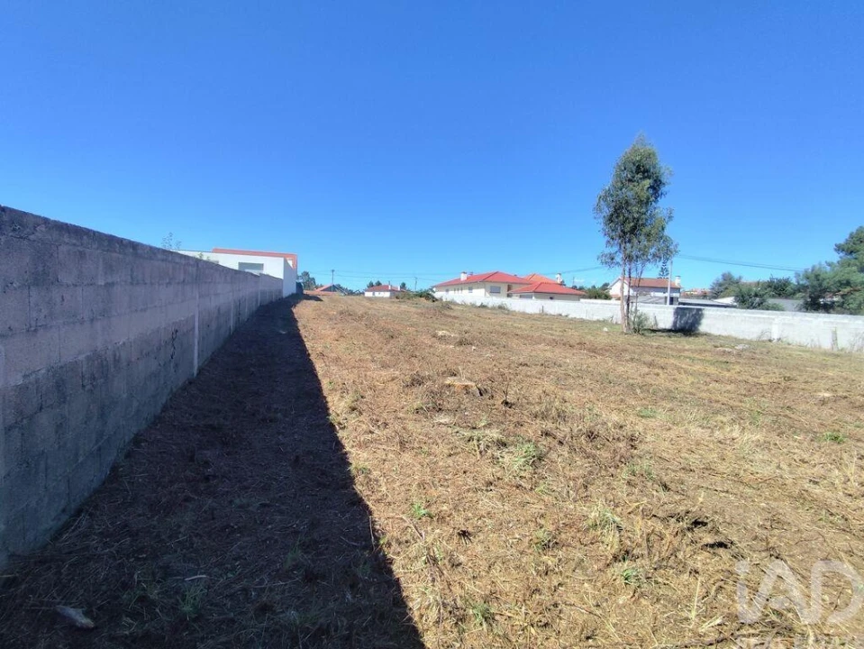 Terreno para Venda em Alvarães Foto 14