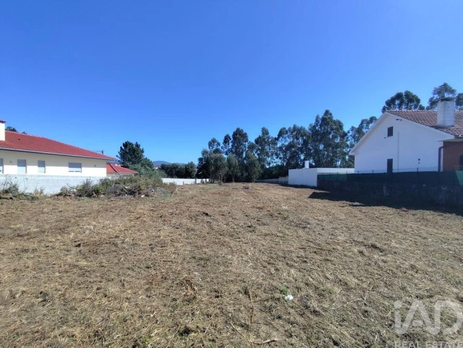 Terreno para Venda em Alvarães Foto 4