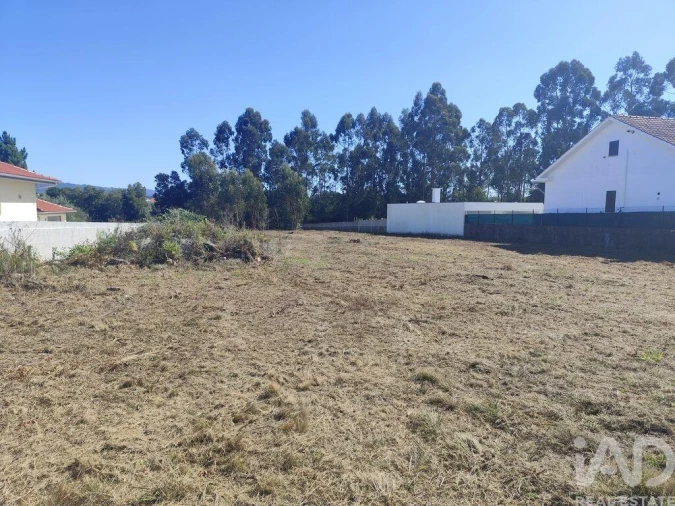 Terreno para Venda em Alvarães Foto 9