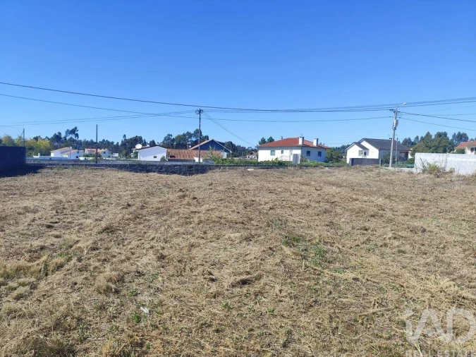 Terreno para Venda em Alvarães Foto 5