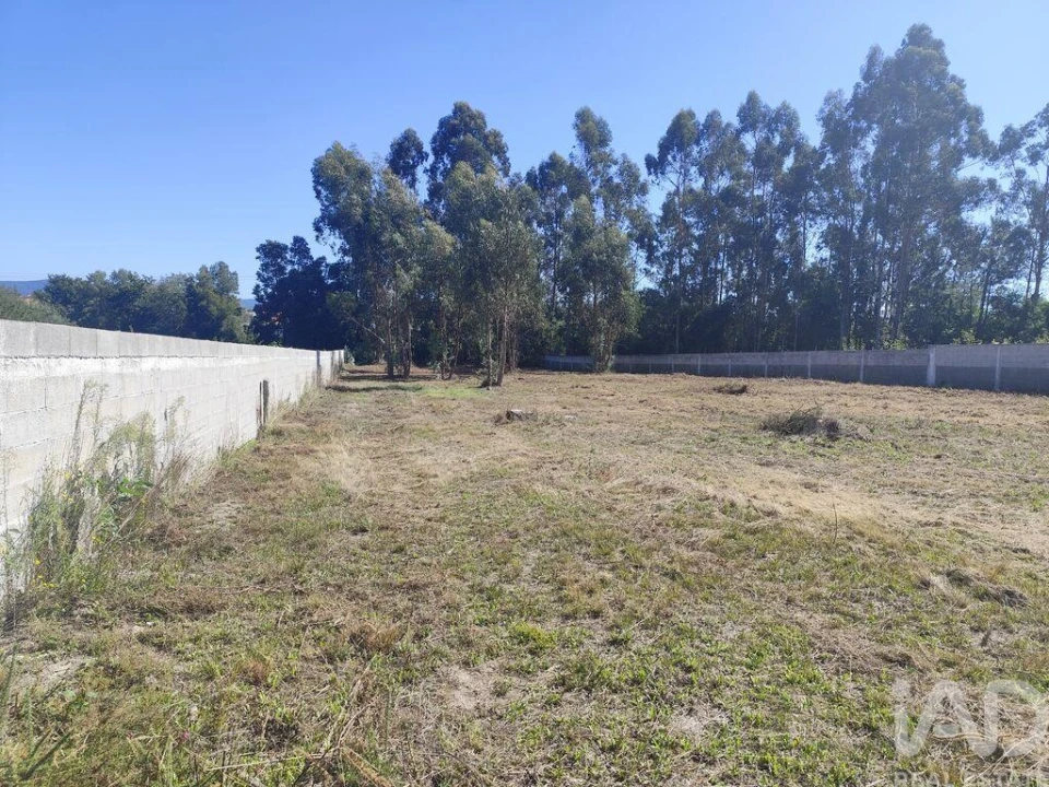 Terreno para Venda em Alvarães Foto 10