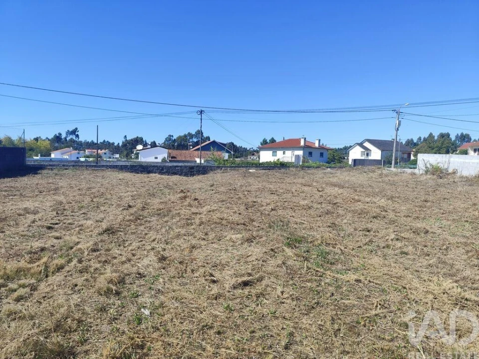 Terreno para Venda em Alvarães Foto 5