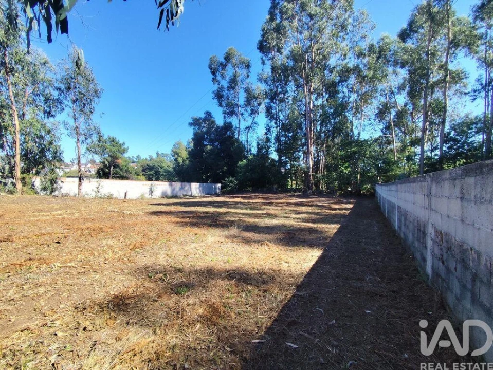 Terreno para Venda em Alvarães Foto 13