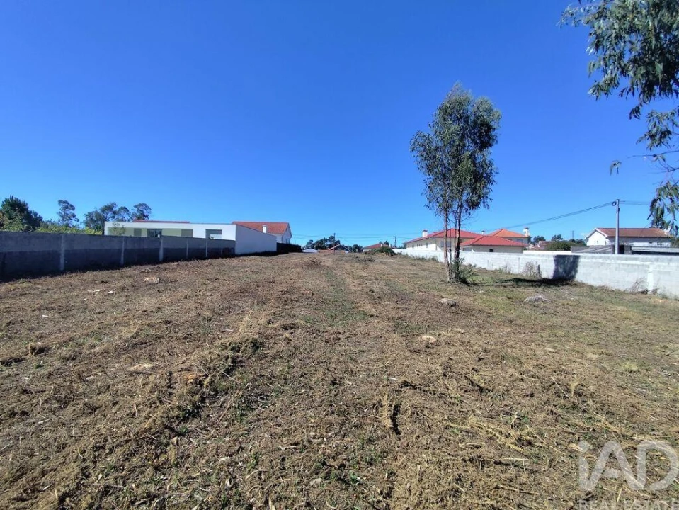 Terreno para Venda em Alvarães Foto 15