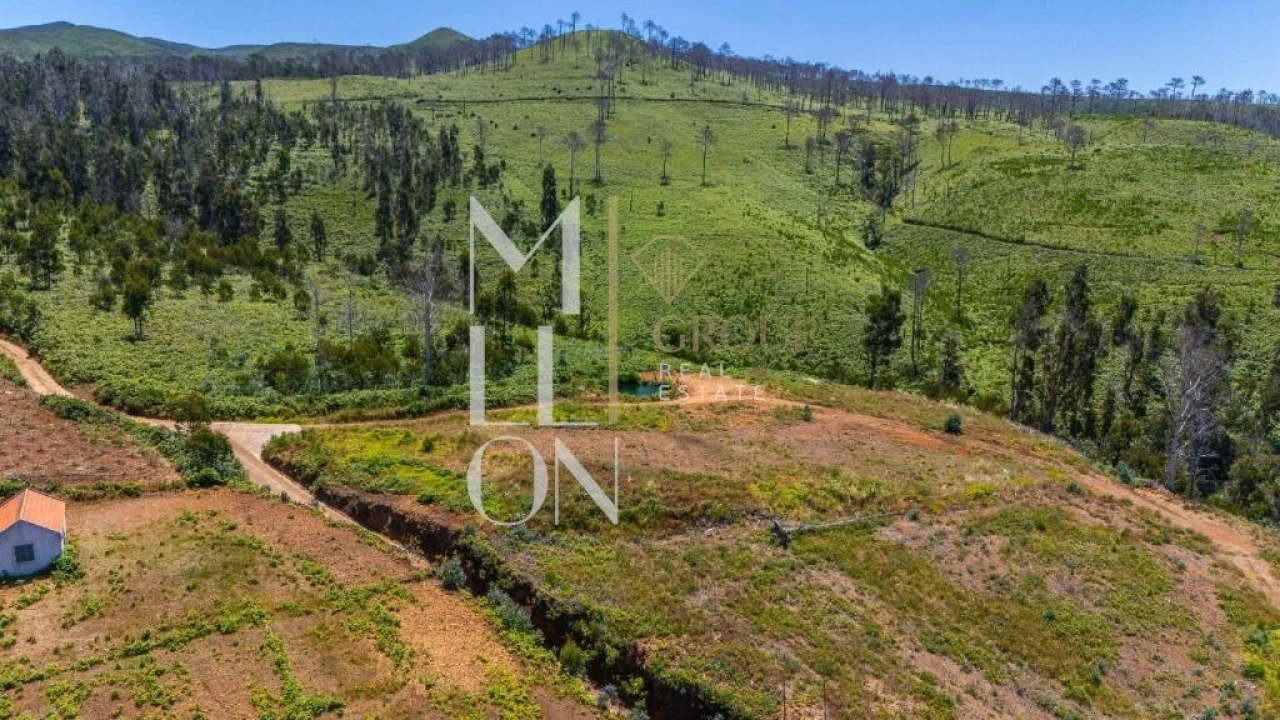 Terreno para Venda em Ponta do Pargo Foto 4
