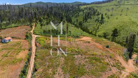 Terreno para Venda em Ponta do Pargo