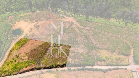 Terreno para Venda em Ponta do Pargo