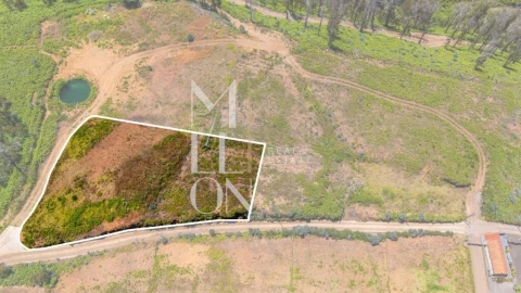 Terreno para Venda em Ponta do Pargo