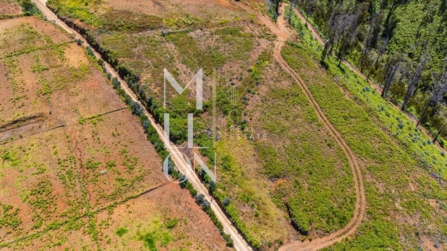 Terreno para Venda em Ponta do Pargo Foto 20
