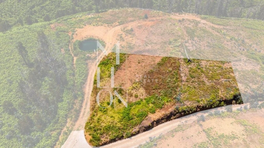 Terreno para Venda em Ponta do Pargo Foto 18