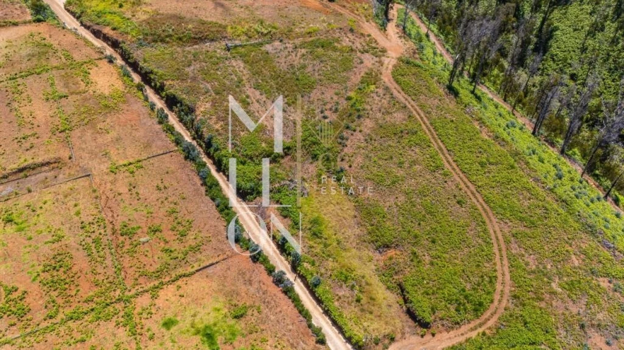Terreno para Venda em Ponta do Pargo Foto 20