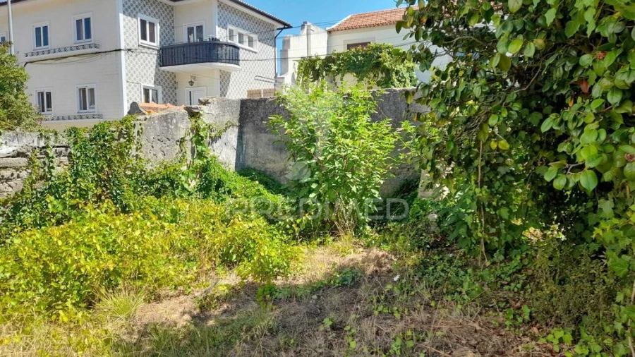 Terreno para Venda em Ílhavo (São Salvador) Foto 5