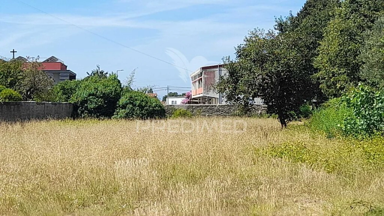 Terreno para Venda em Ílhavo (São Salvador) Foto 4