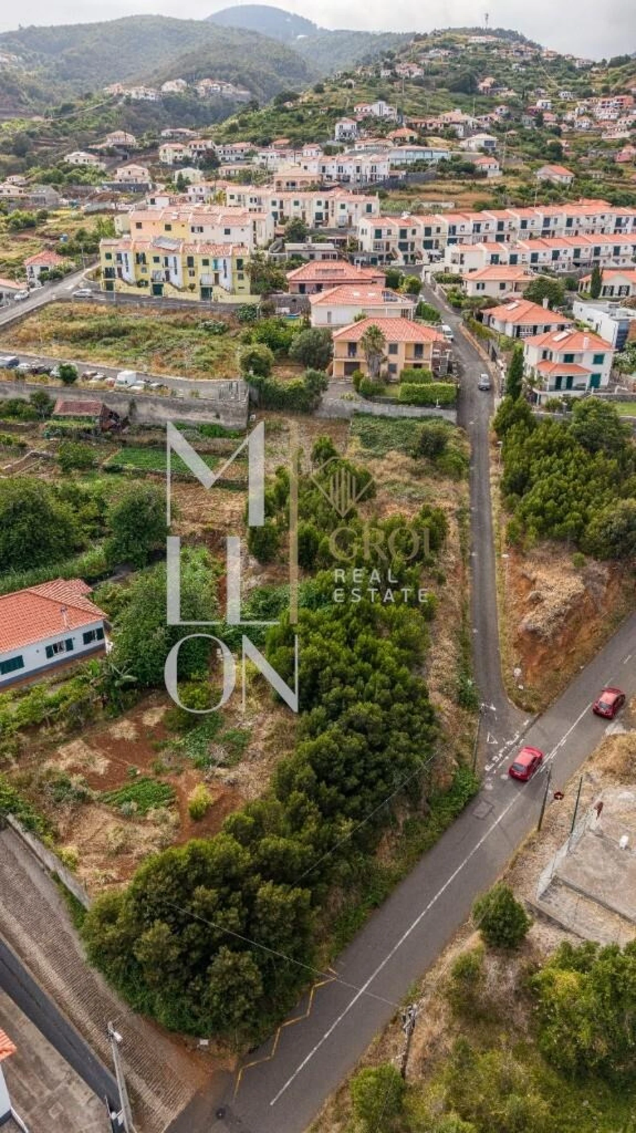 Terreno para Venda em Santa Cruz Foto 22