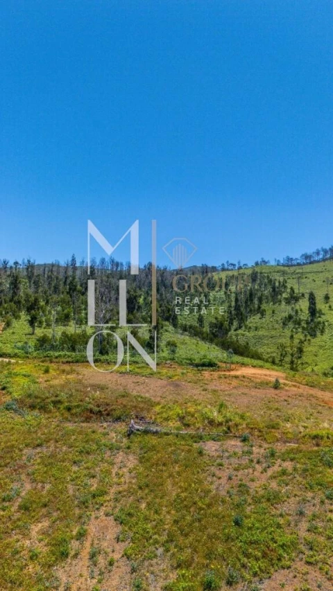 Terreno para Venda em Ponta do Pargo