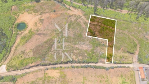 Terreno para Venda em Ponta do Pargo