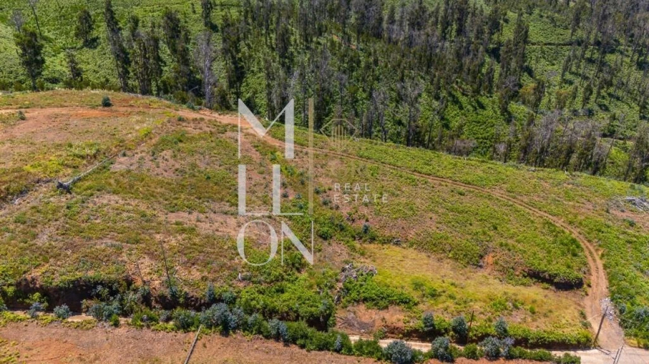 Terreno para Venda em Ponta do Pargo Foto 4