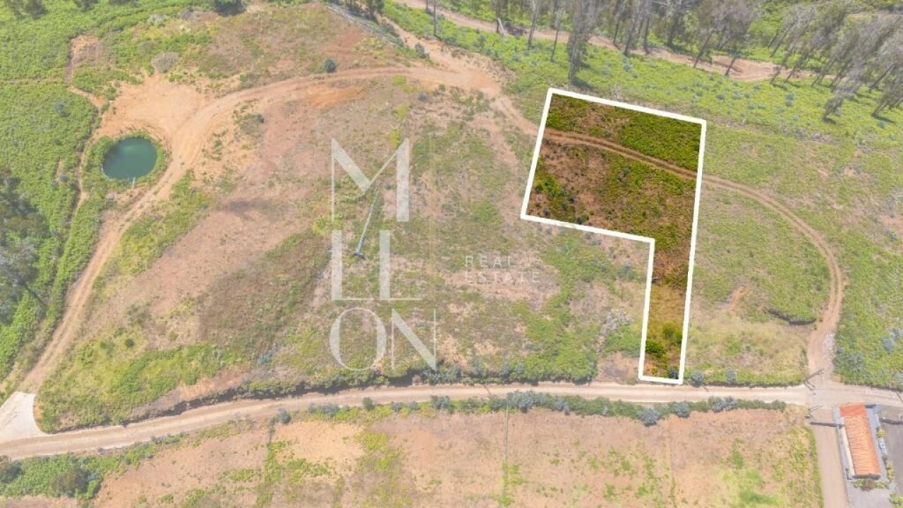 Terreno para Venda em Ponta do Pargo Foto 1