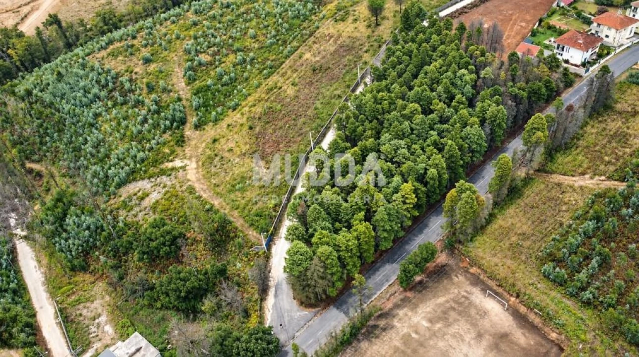 Terreno para Venda em Albergaria-A-Velha e Valmaior Foto 1