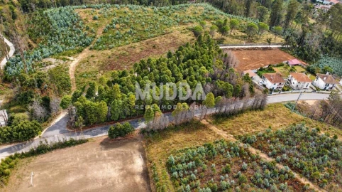 Terreno para Venda em Albergaria-A-Velha e Valmaior