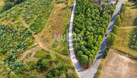 Terreno para Venda em Albergaria-A-Velha e Valmaior