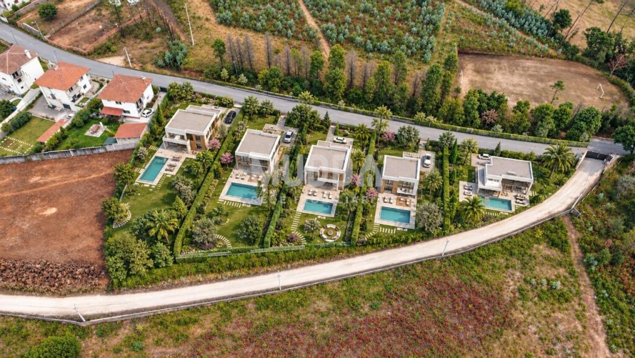 Terreno para Venda em Albergaria-A-Velha e Valmaior Foto 2