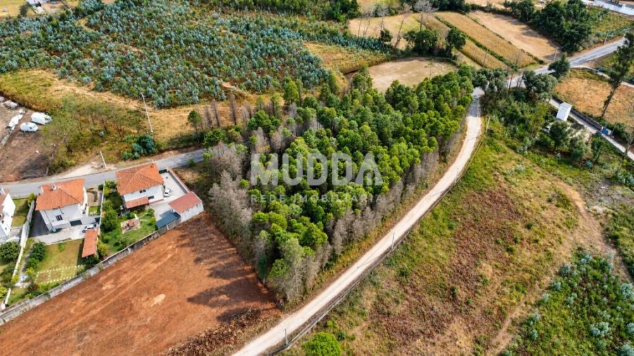 Terreno para Venda em Albergaria-A-Velha e Valmaior Foto 9