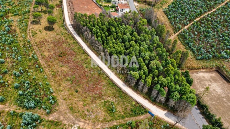 Terreno para Venda em Albergaria-A-Velha e Valmaior Foto 11