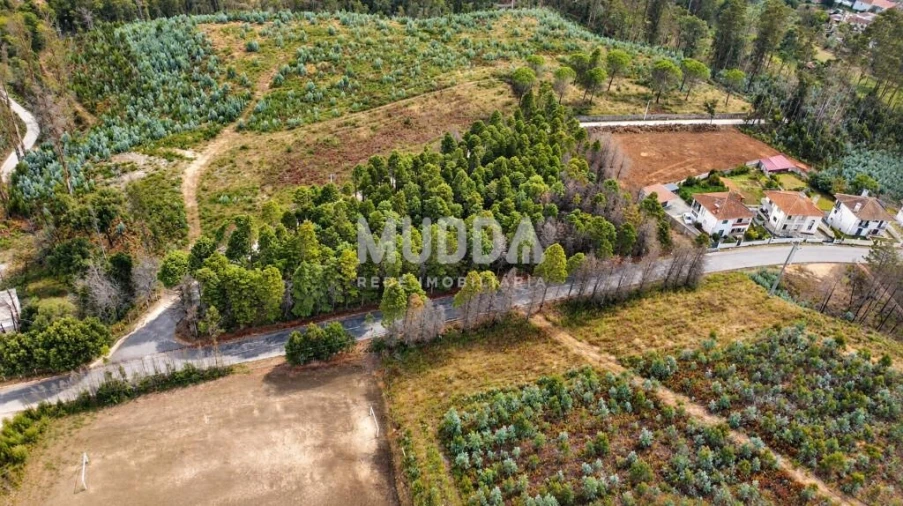 Terreno para Venda em Albergaria-A-Velha e Valmaior Foto 6