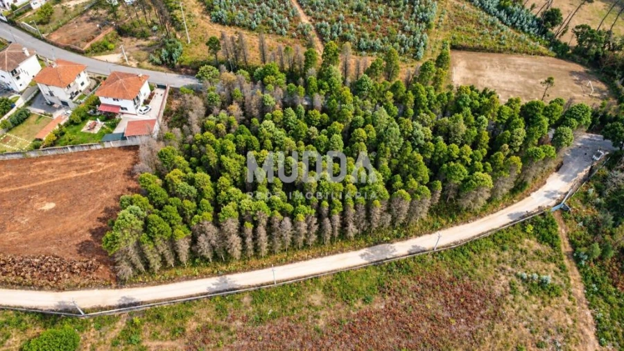 Terreno para Venda em Albergaria-A-Velha e Valmaior Foto 10