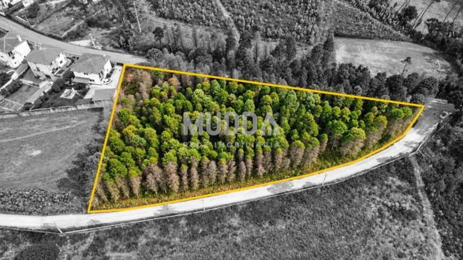 Terreno para Venda em Albergaria-A-Velha e Valmaior Foto 4
