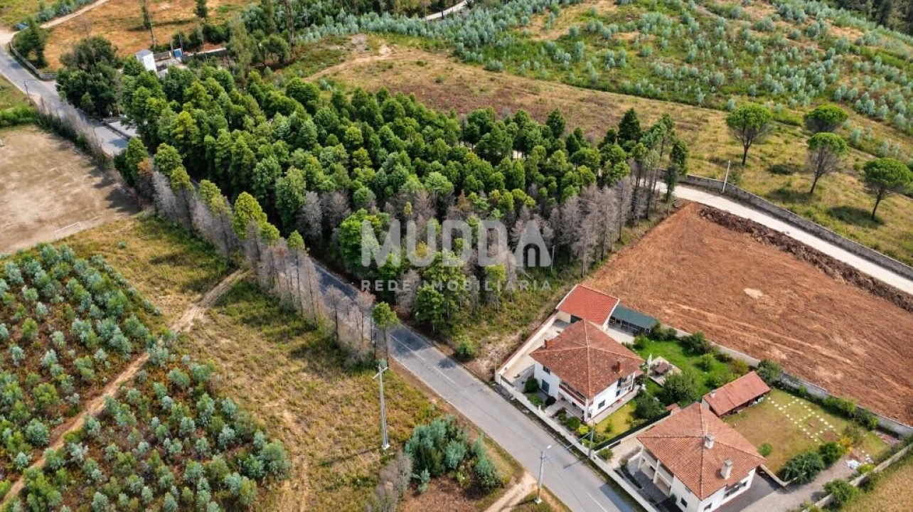 Terreno para Venda em Albergaria-A-Velha e Valmaior Foto 7