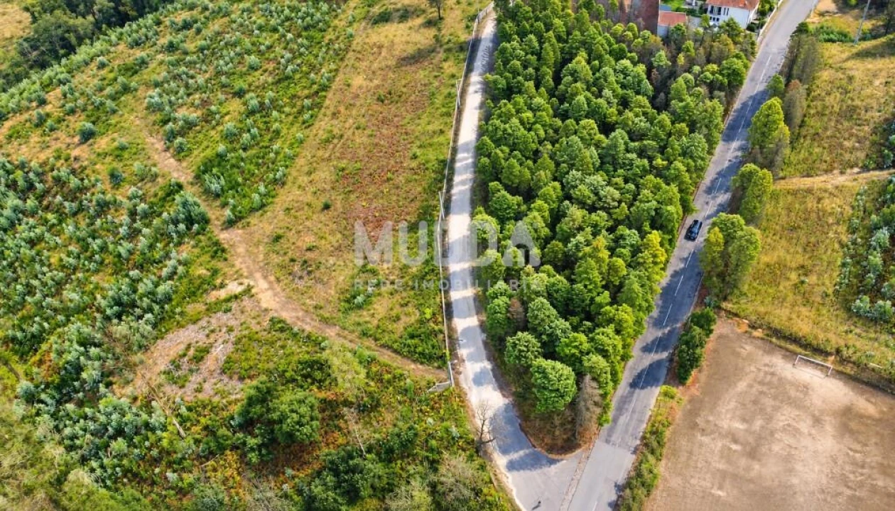 Terreno para Venda em Albergaria-A-Velha e Valmaior Foto 5