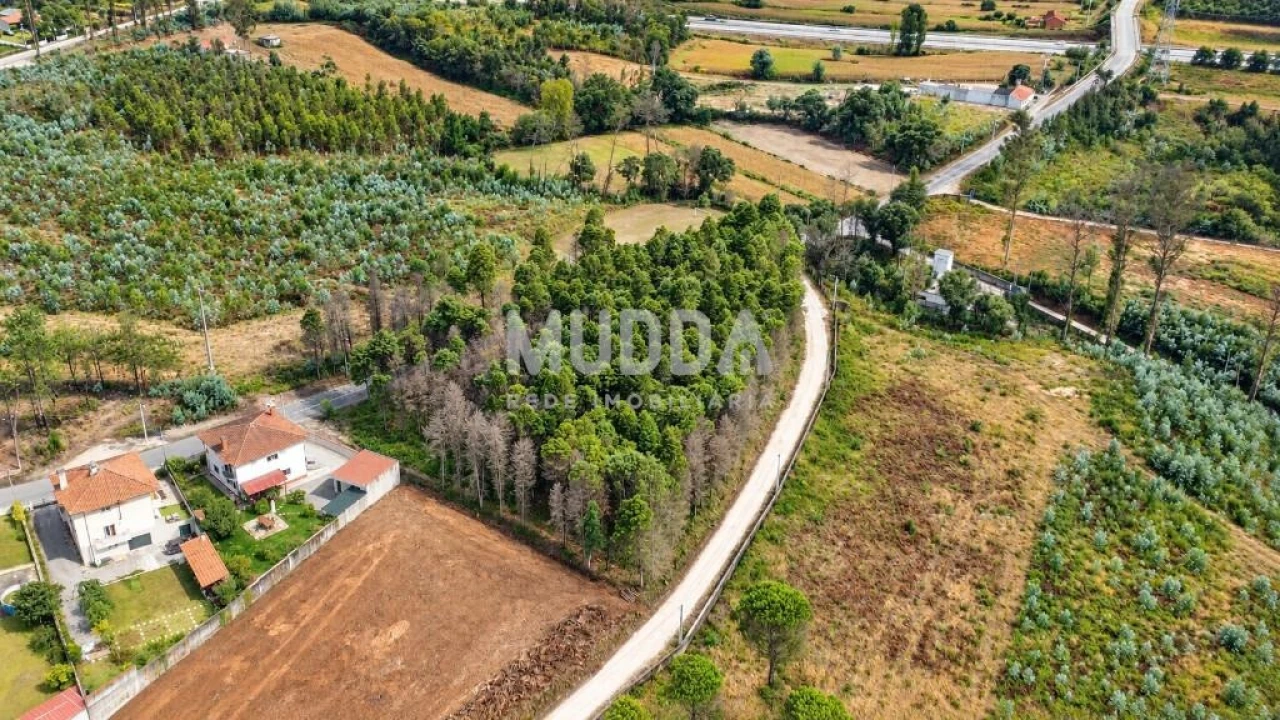 Terreno para Venda em Albergaria-A-Velha e Valmaior Foto 8