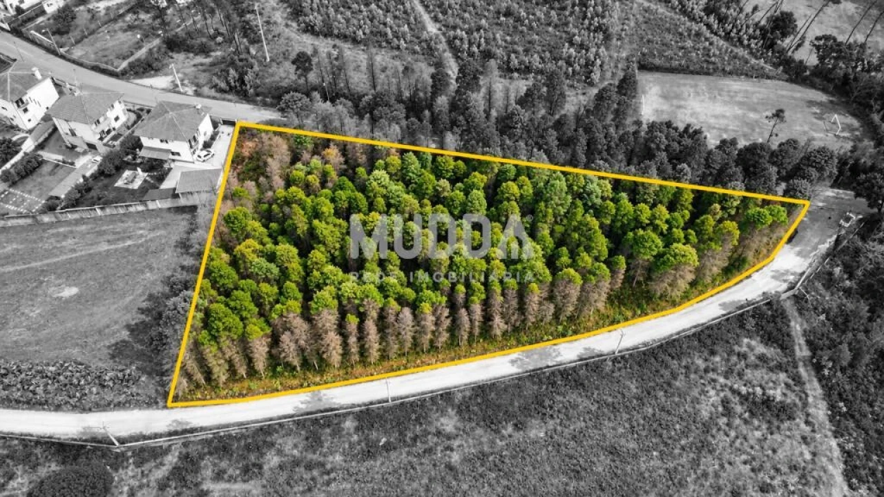 Terreno para Venda em Albergaria-A-Velha e Valmaior Foto 4