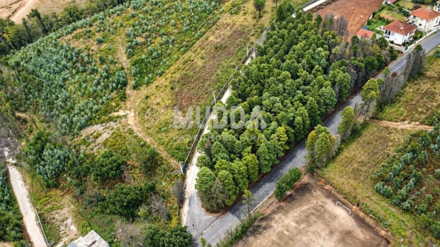 Terreno para Venda em Albergaria-A-Velha e Valmaior