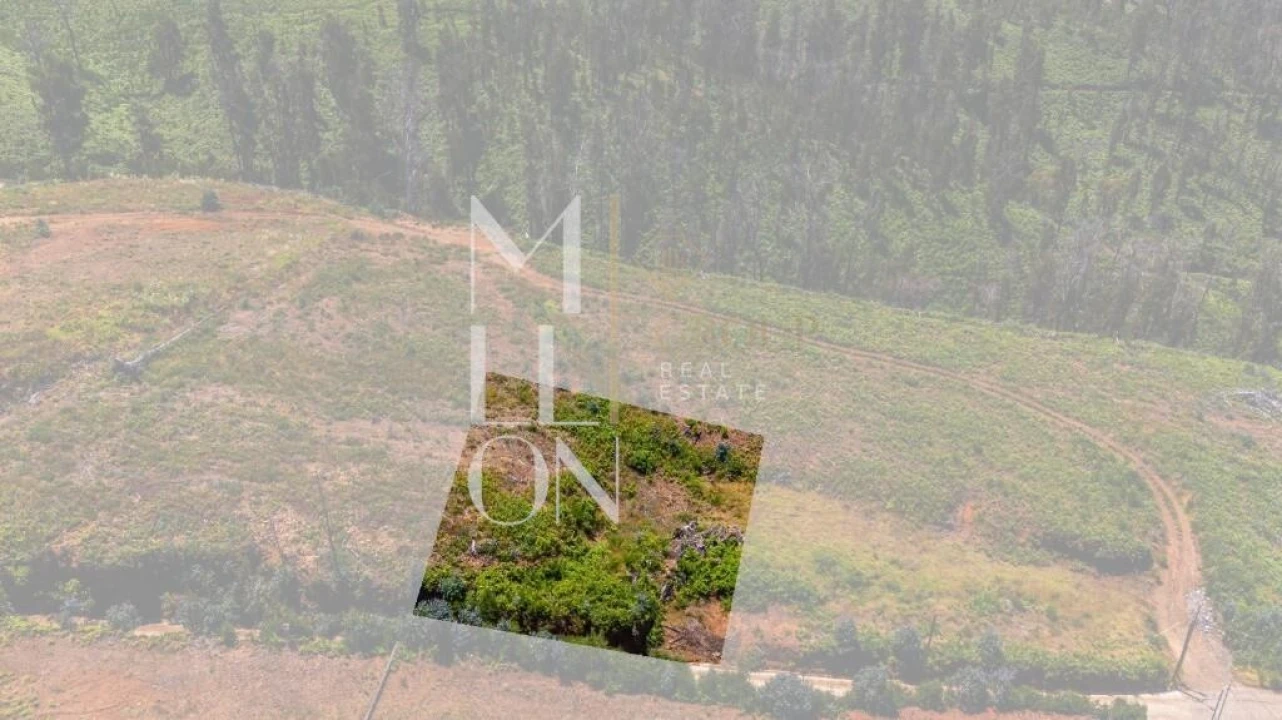 Terreno para Venda em Ponta do Pargo Foto 1