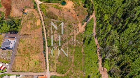 Terreno para Venda em Ponta do Pargo